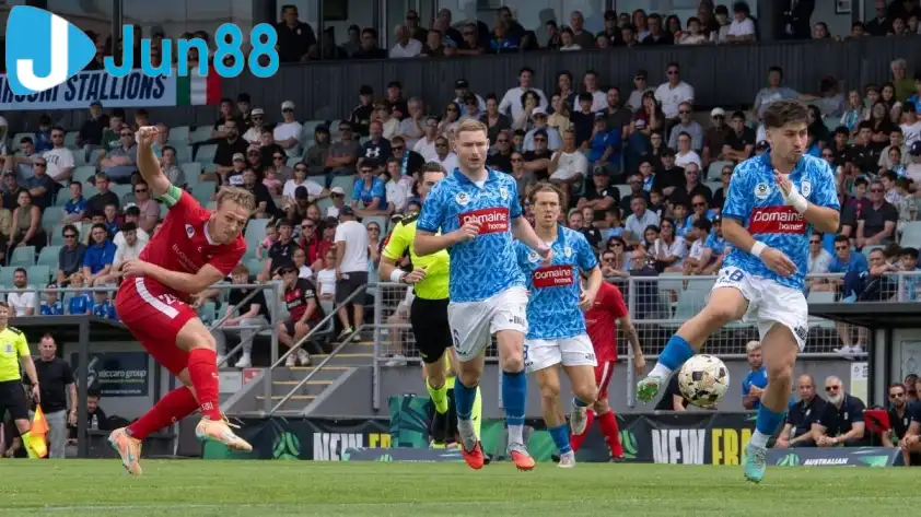 Wollongong Wolves và Marconi Stallions nhiều khả năng sẽ tạo nên một trận đấu kịch tính và khó lường. Wollongong Wolves và Marconi Stallions nhiều khả năng sẽ tạo nên một trận đấu kịch tính và khó lường.